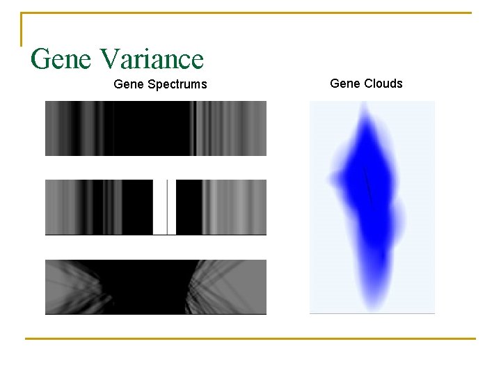 Gene Variance Gene Spectrums Gene Clouds 