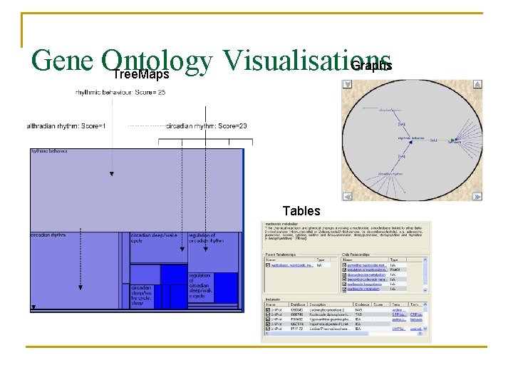 Gene Ontology Visualisations Graphs Tree. Maps Tables 