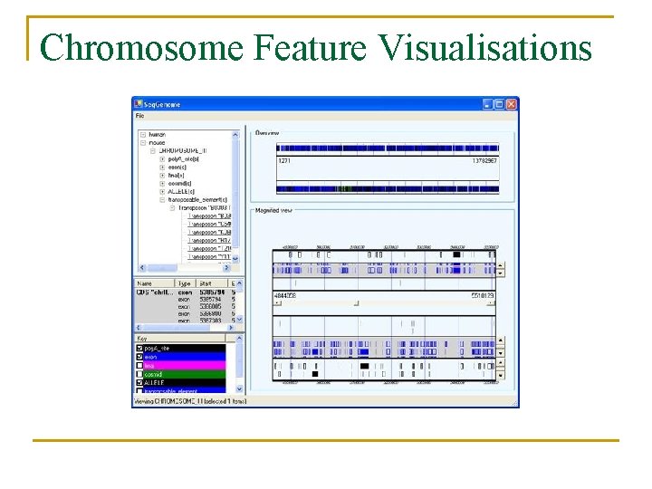 Chromosome Feature Visualisations 