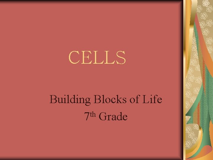 CELLS Building Blocks of Life 7 th Grade 