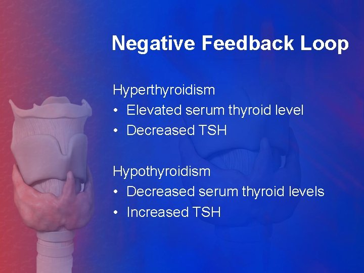 Negative Feedback Loop Hyperthyroidism • Elevated serum thyroid level • Decreased TSH Hypothyroidism •