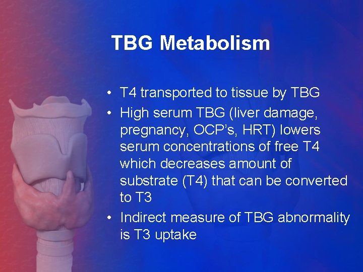 TBG Metabolism • T 4 transported to tissue by TBG • High serum TBG