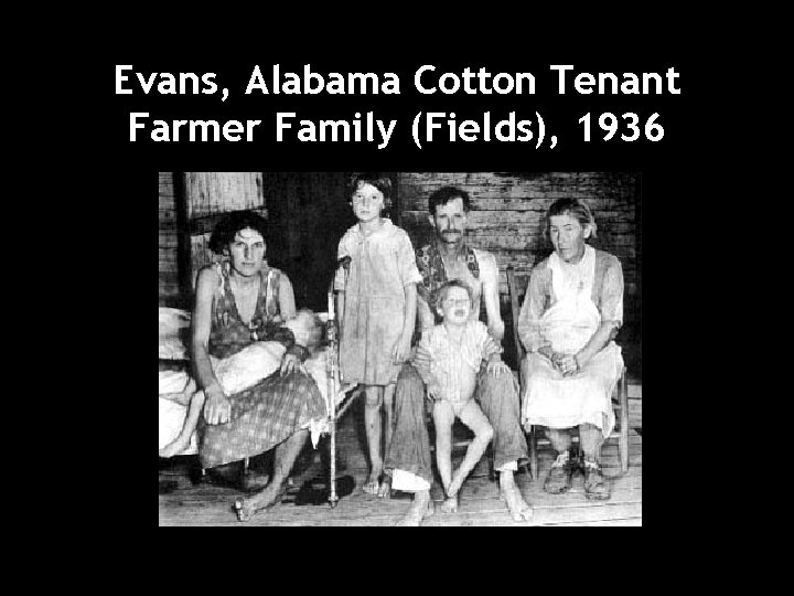 Evans, Alabama Cotton Tenant Farmer Family (Fields), 1936 