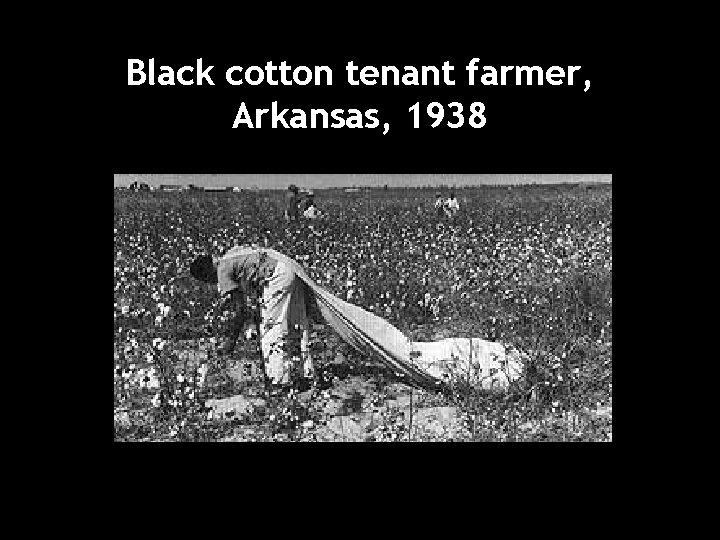 Black cotton tenant farmer, Arkansas, 1938 