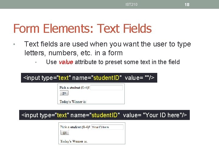 IST 210 18 Form Elements: Text Fields • Text fields are used when you