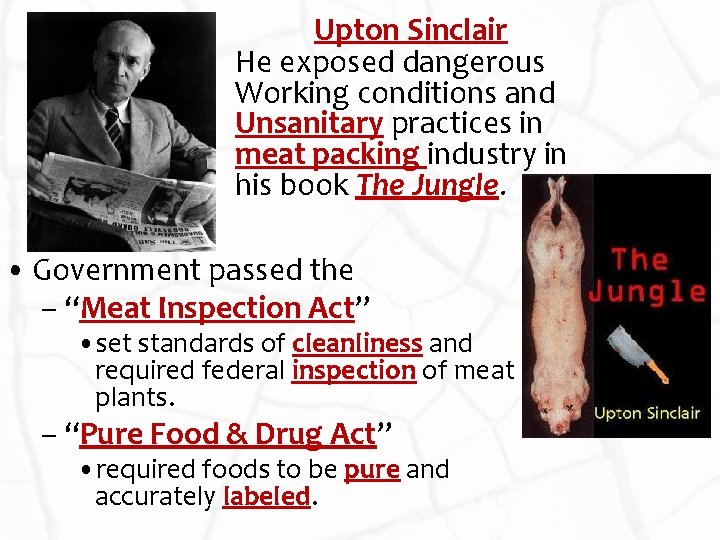 Upton Sinclair He exposed dangerous Working conditions and Unsanitary practices in meat packing industry
