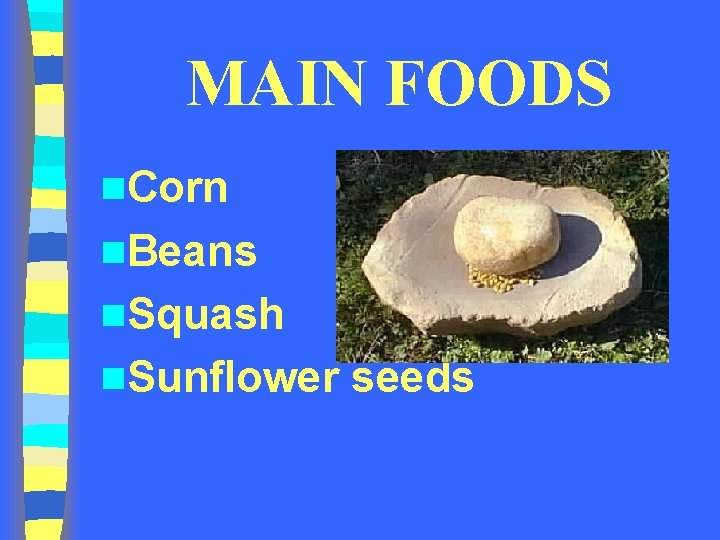 MAIN FOODS n. Corn n. Beans n. Squash n. Sunflower seeds MAIN FOODS n. Corn n. Beans n. Squash n. Sunflower seeds