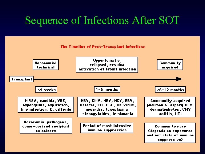 Sequence of Infections After SOT 