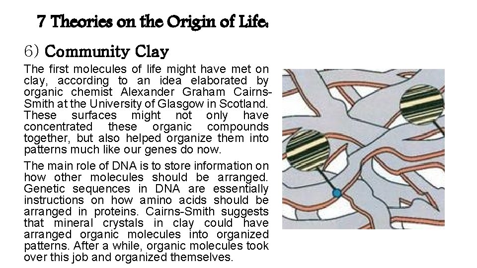 7 Theories on the Origin of Life: 6) Community Clay The first molecules of 7 Theories on the Origin of Life: 6) Community Clay The first molecules of