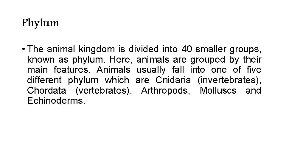 Phylum • The animal kingdom is divided into 40 smaller groups, known as phylum. Phylum • The animal kingdom is divided into 40 smaller groups, known as phylum.