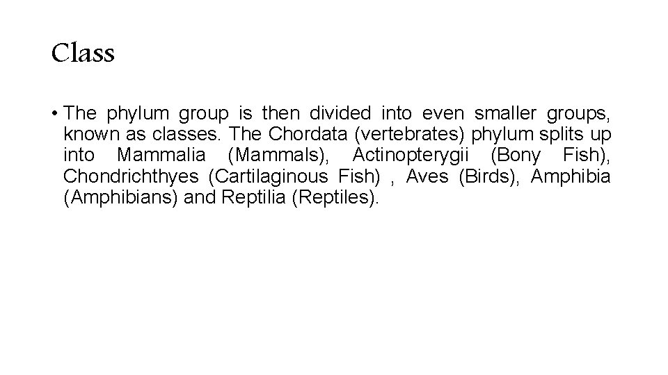Class • The phylum group is then divided into even smaller groups, known as Class • The phylum group is then divided into even smaller groups, known as