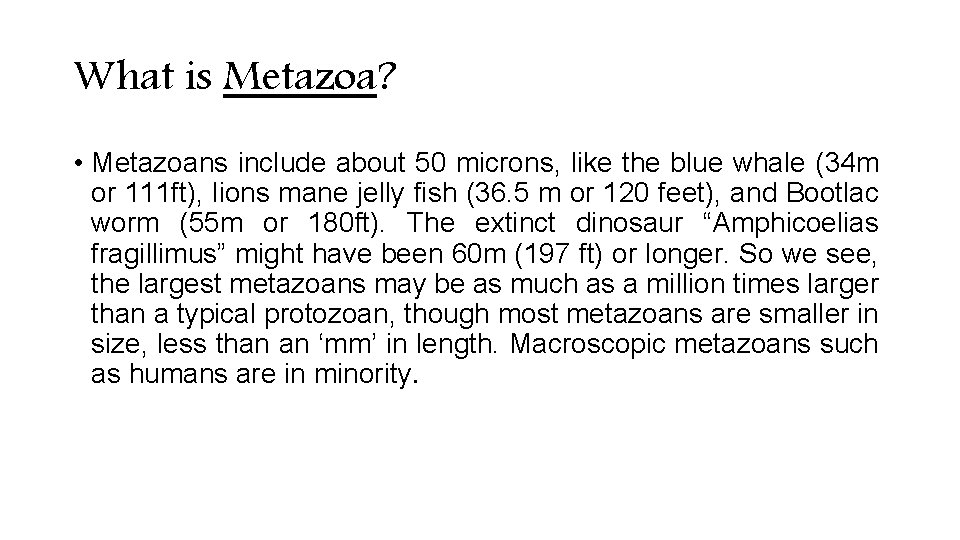 What is Metazoa? • Metazoans include about 50 microns, like the blue whale (34 What is Metazoa? • Metazoans include about 50 microns, like the blue whale (34