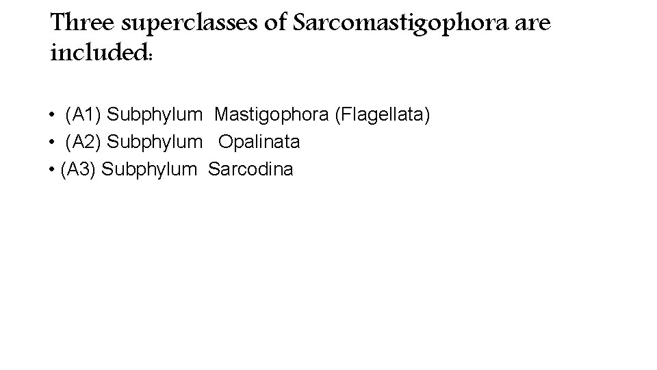 Three superclasses of Sarcomastigophora are included: • (A 1) Subphylum Mastigophora (Flagellata) • (A Three superclasses of Sarcomastigophora are included: • (A 1) Subphylum Mastigophora (Flagellata) • (A