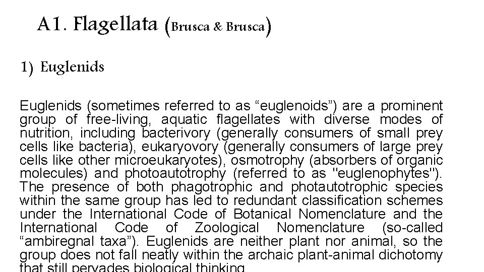 A 1. Flagellata (Brusca & Brusca) 1) Euglenids (sometimes referred to as “euglenoids”) are A 1. Flagellata (Brusca & Brusca) 1) Euglenids (sometimes referred to as “euglenoids”) are