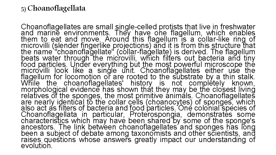 5) Choanoflagellata Choanoflagellates are small single-celled protists that live in freshwater and marine environments. 5) Choanoflagellata Choanoflagellates are small single-celled protists that live in freshwater and marine environments.