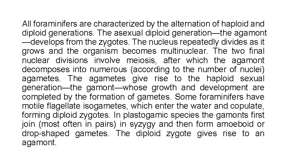 All foraminifers are characterized by the alternation of haploid and diploid generations. The asexual All foraminifers are characterized by the alternation of haploid and diploid generations. The asexual