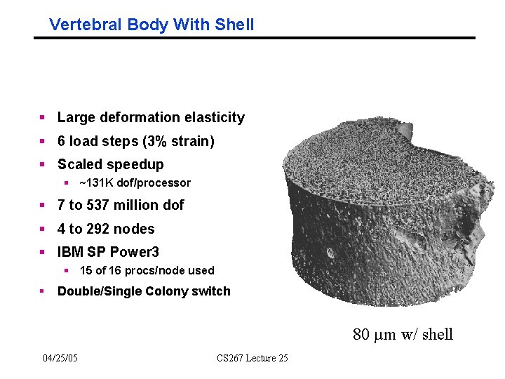 Vertebral Body With Shell § Large deformation elasticity § 6 load steps (3% strain)