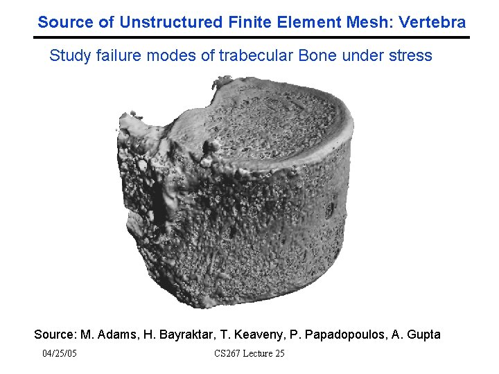 Source of Unstructured Finite Element Mesh: Vertebra Study failure modes of trabecular Bone under