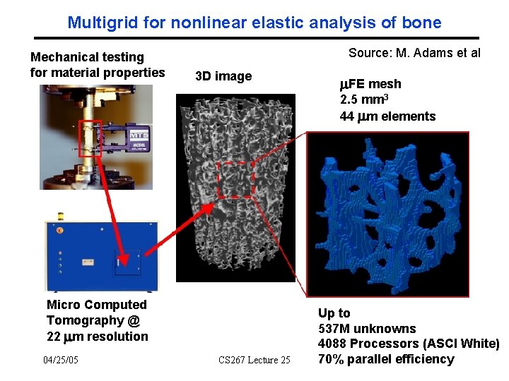 Multigrid for nonlinear elastic analysis of bone Mechanical testing for material properties Source: M.