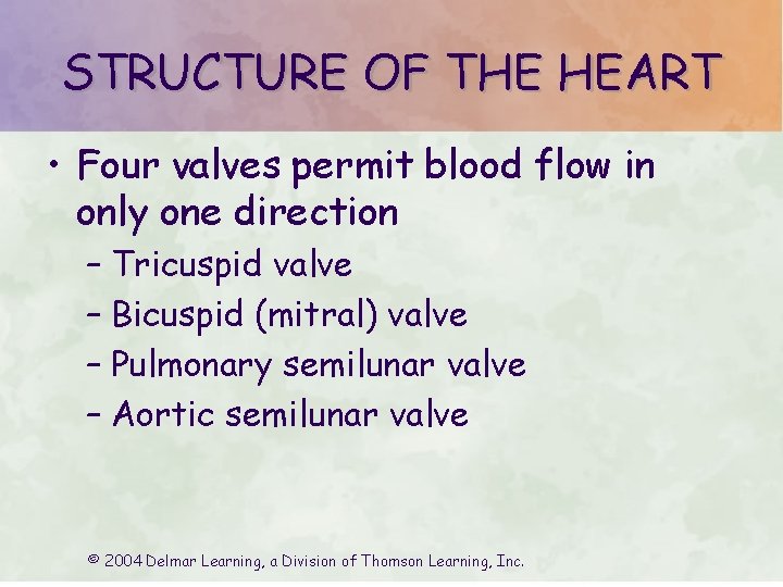 STRUCTURE OF THE HEART • Four valves permit blood flow in only one direction