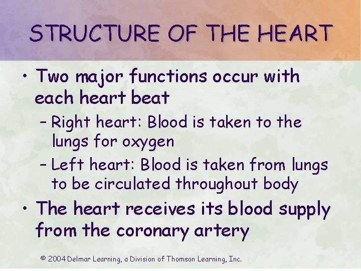 STRUCTURE OF THE HEART • Two major functions occur with each heart beat –