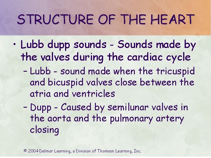 STRUCTURE OF THE HEART • Lubb dupp sounds - Sounds made by the valves