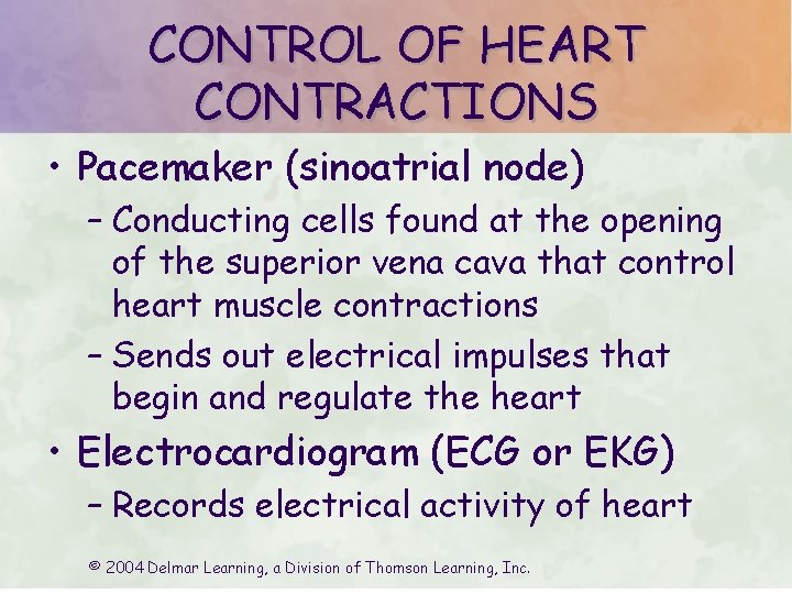 CONTROL OF HEART CONTRACTIONS • Pacemaker (sinoatrial node) – Conducting cells found at the