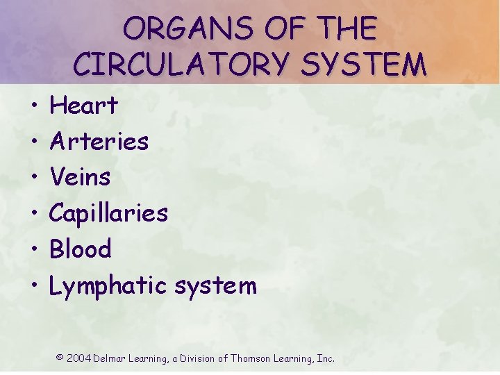 ORGANS OF THE CIRCULATORY SYSTEM • • • Heart Arteries Veins Capillaries Blood Lymphatic