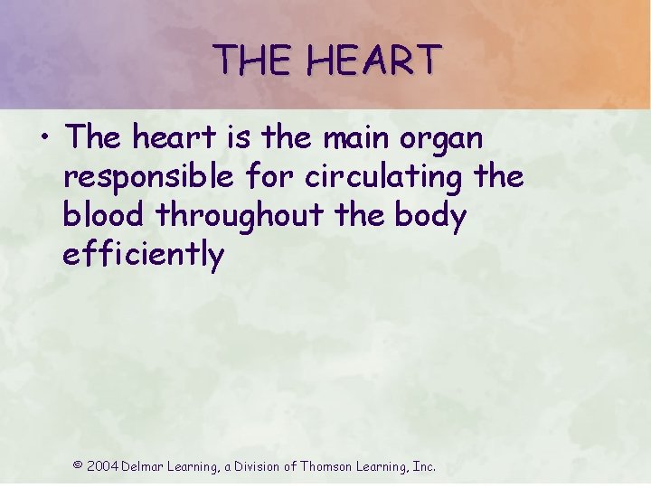 THE HEART • The heart is the main organ responsible for circulating the blood