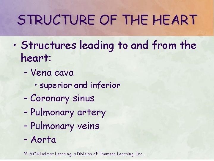 STRUCTURE OF THE HEART • Structures leading to and from the heart: – Vena