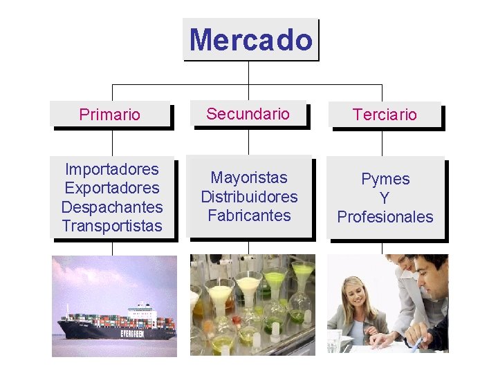 Mercado Primario Secundario Terciario Importadores Exportadores Despachantes Transportistas Mayoristas Distribuidores Fabricantes Pymes Y Profesionales