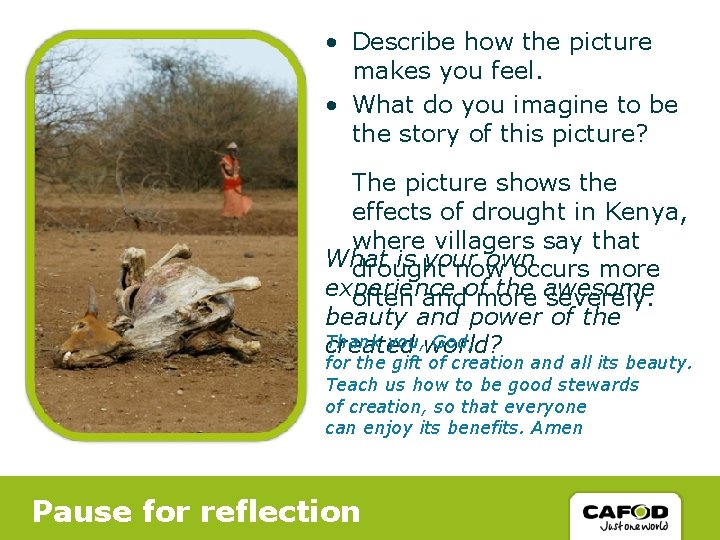  • Describe how the picture makes you feel. • What do you imagine