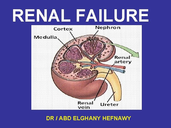 RENAL FAILURE DR / ABD ELGHANY HEFNAWY 