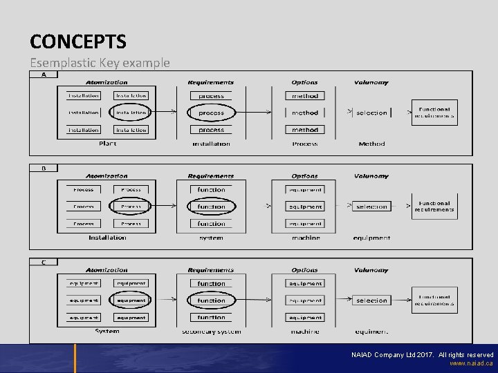 CONCEPTS Esemplastic Key example NAIAD Company Ltd 2017. All rights reserved www. naiad. ca