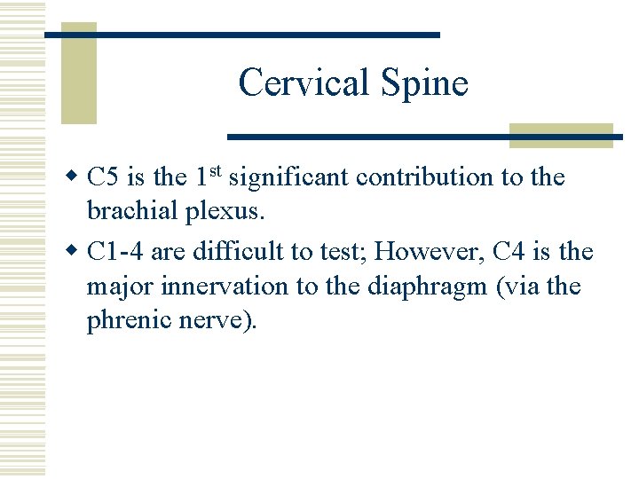 Cervical Spine w C 5 is the 1 st significant contribution to the brachial