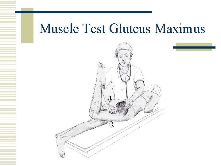 Muscle Test Gluteus Maximus 