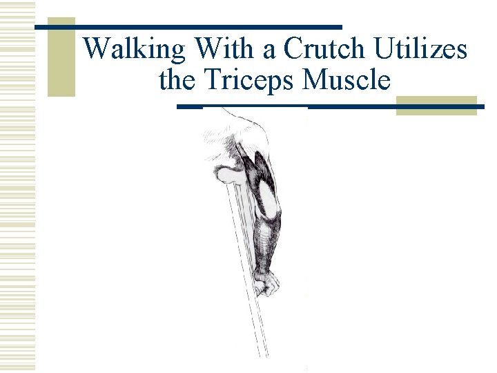 Walking With a Crutch Utilizes the Triceps Muscle 