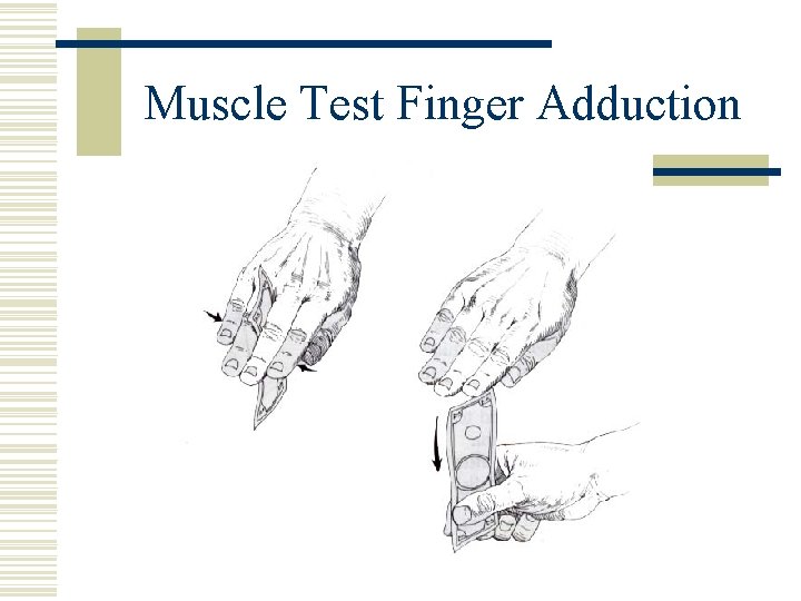 Muscle Test Finger Adduction 