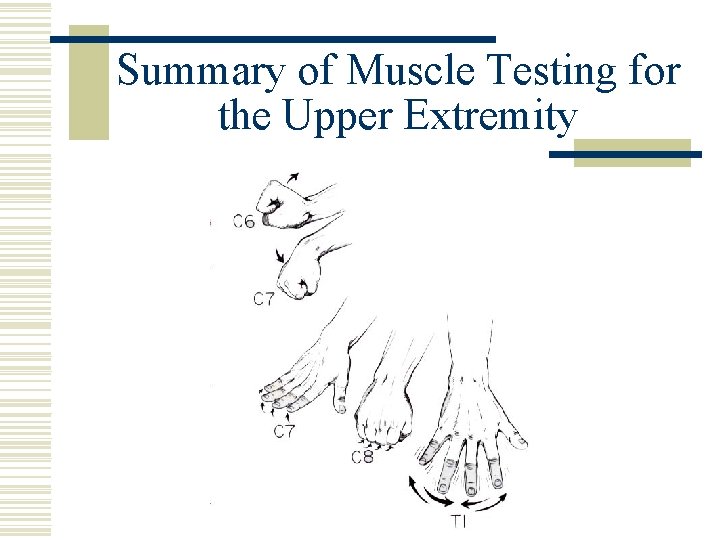 Summary of Muscle Testing for the Upper Extremity 