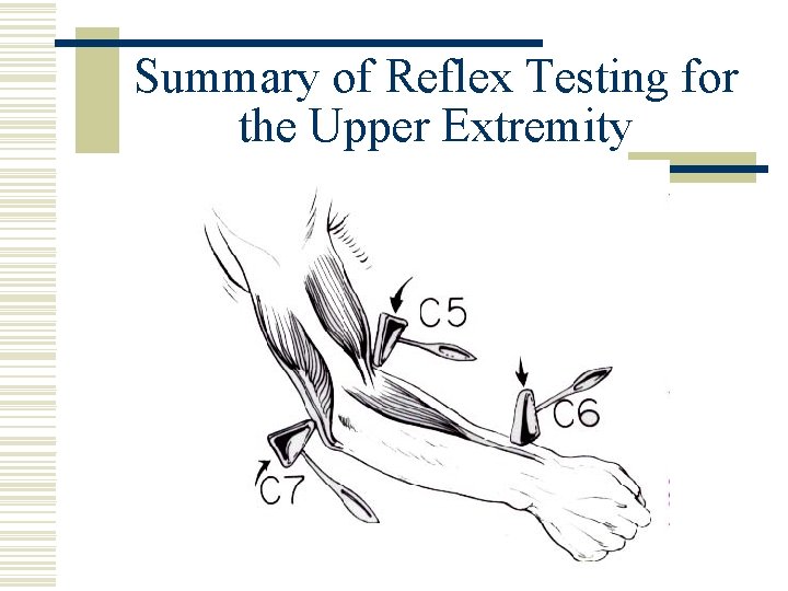 Summary of Reflex Testing for the Upper Extremity 