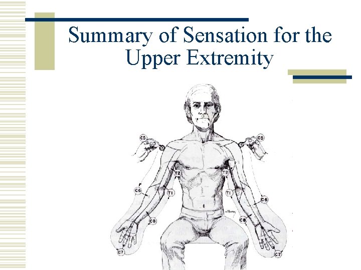 Summary of Sensation for the Upper Extremity 