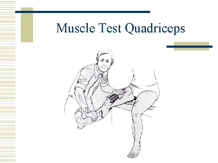 Muscle Test Quadriceps 