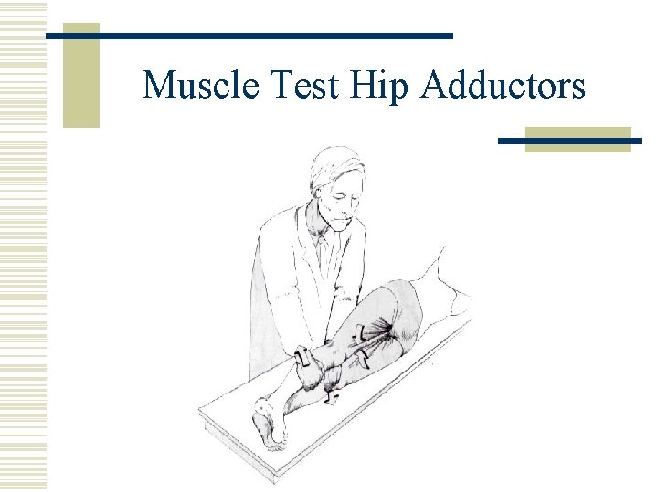 Muscle Test Hip Adductors 