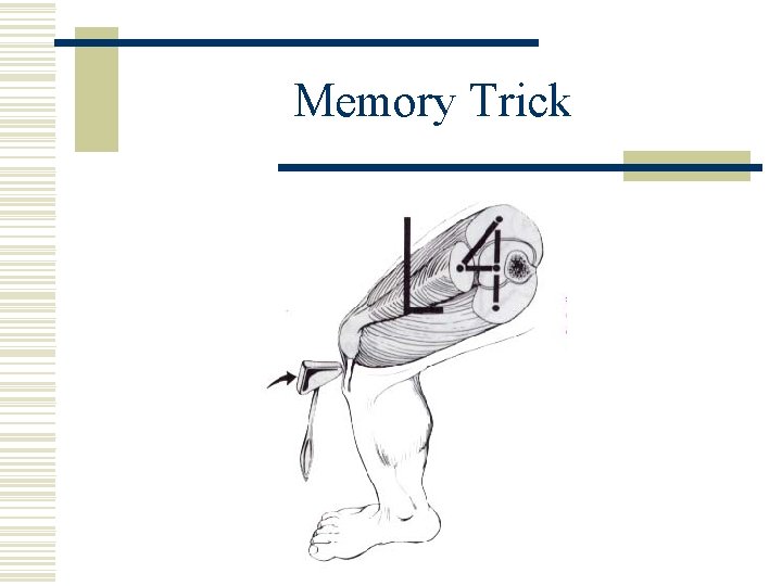 Memory Trick 