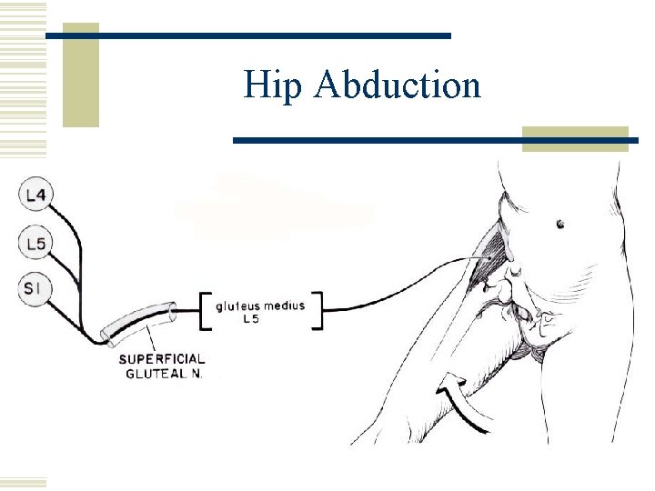 Hip Abduction 