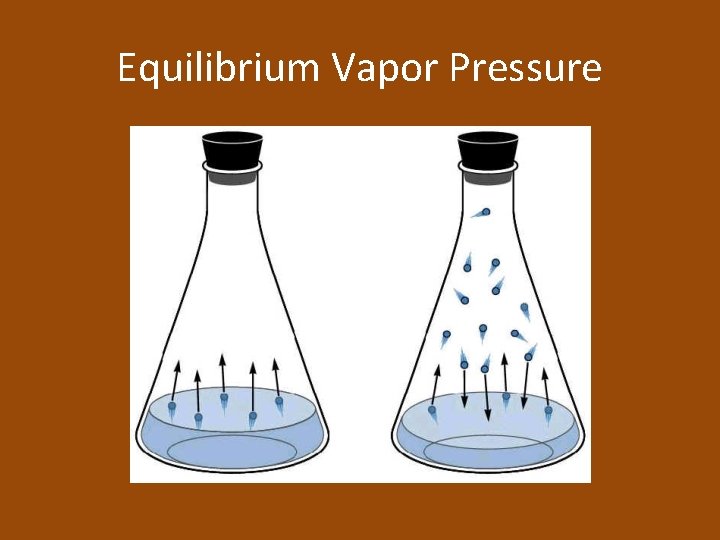 Equilibrium Vapor Pressure 