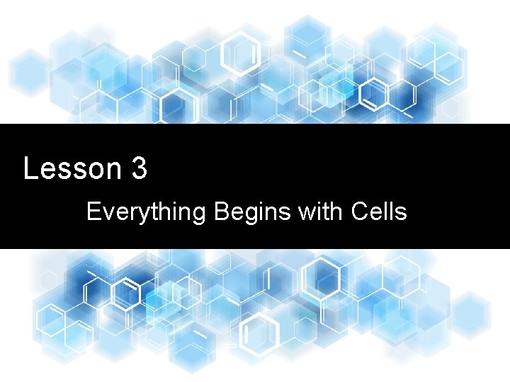 Lesson 3 Everything Begins with Cells 