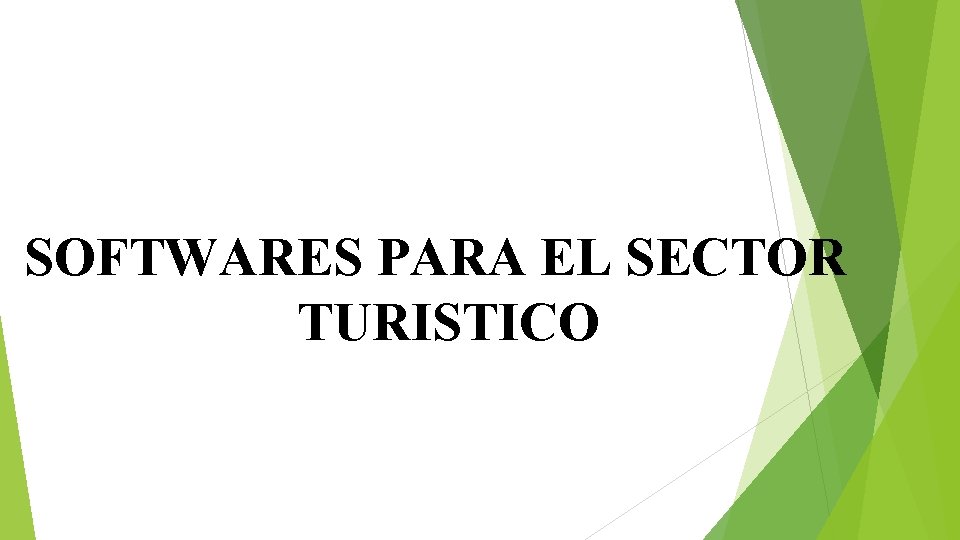 SOFTWARES PARA EL SECTOR TURISTICO 