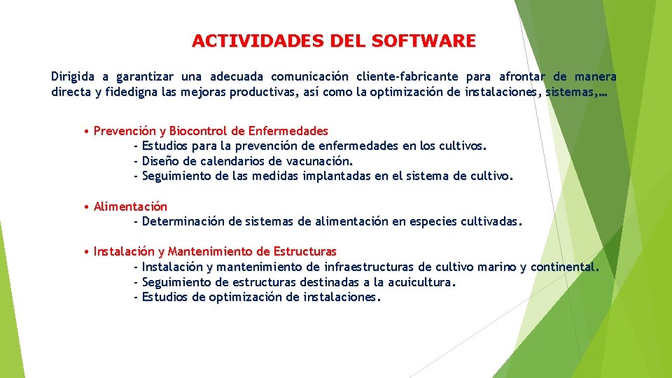 ACTIVIDADES DEL SOFTWARE Dirigida a garantizar una adecuada comunicación cliente-fabricante para afrontar de manera
