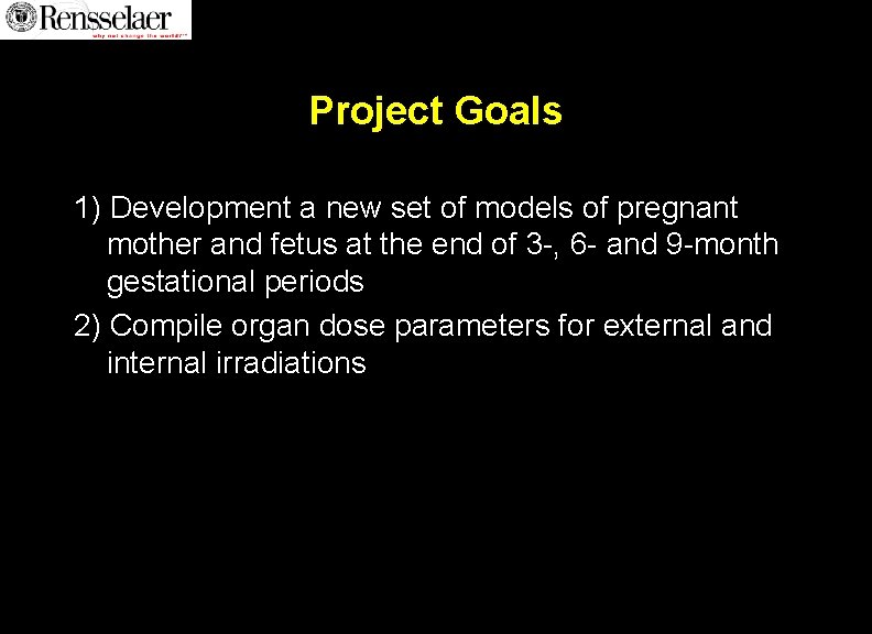 Project Goals 1) Development a new set of models of pregnant mother and fetus Project Goals 1) Development a new set of models of pregnant mother and fetus